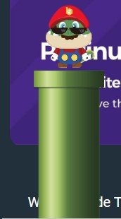797358454_cocomariobross.jpg.d303b2b51dd4f1d7866d98e8c526779f.jpg